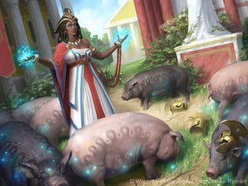 Curse of the Swine