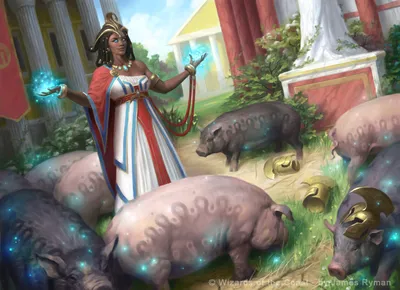 Curse of the Swine