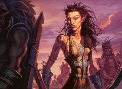 Bloodbraid Elf