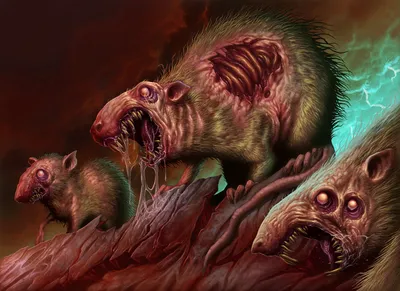 Rotting Rats