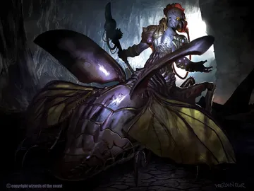 Beetleform Mage