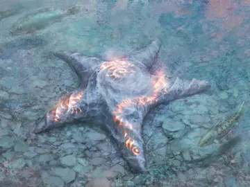 Sigiled Starfish