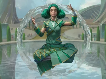 Symmetry Sage