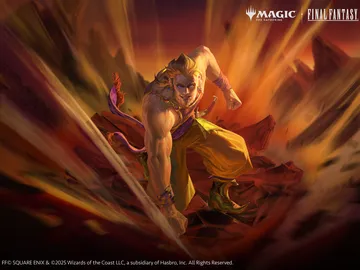 Sabin, Master Monk 1