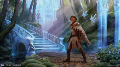 Into the Fae Court