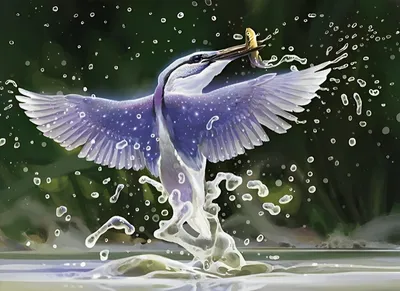 Ithilien Kingfisher 1