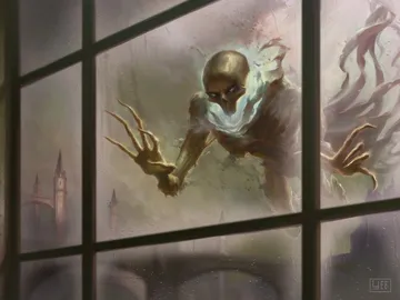 Watcher in the Mist