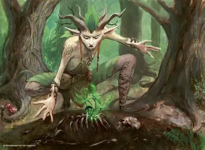 Blightsoil Druid