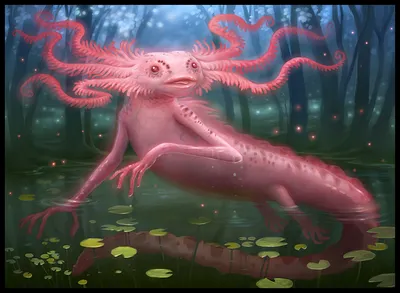 Ethereal Whiskergill