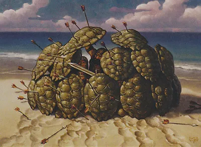 Tortoise Formation