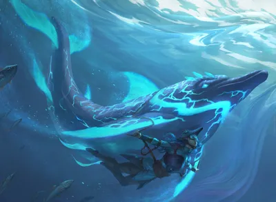 Phase Dolphin