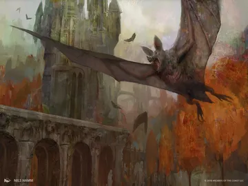 Bartizan Bats