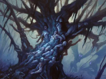Black Oak of Odunos