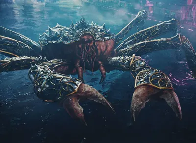 Mirrorshell Crab