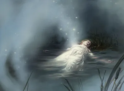 Lost in the Mist