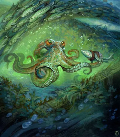 Sea-Dasher Octopus 1