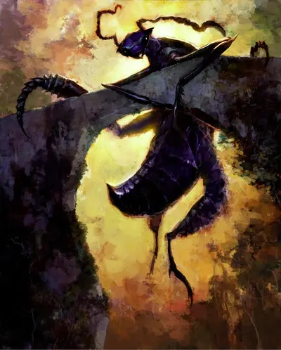 Blister Beetle