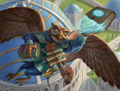 Spellbook Seeker