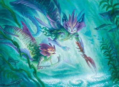 Silvergill Mentor 1