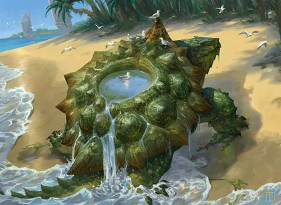 Tidepool Turtle