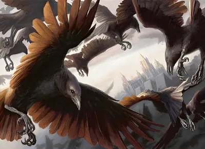 Murder of Crows