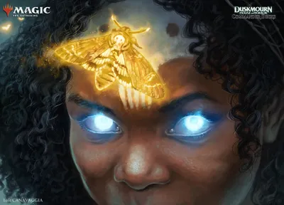 Aminatou's Augury