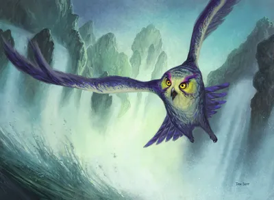 Tempest Owl