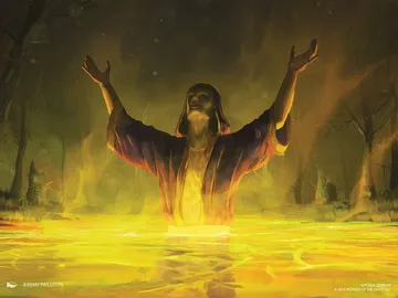 Cathedral Acolyte