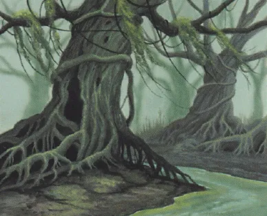 Hollow Trees