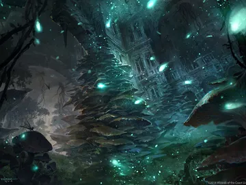 Forest 1
