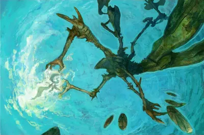 Peer Through Depths