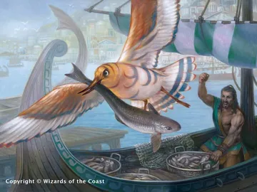 Vexing Gull