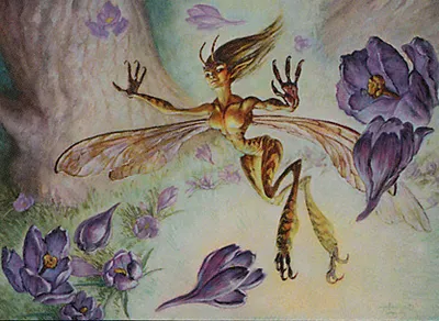 Ringskipper