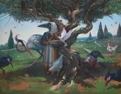 Kindred Discovery