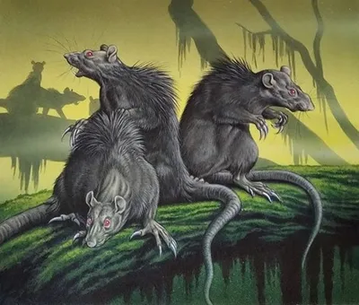 Muck Rats