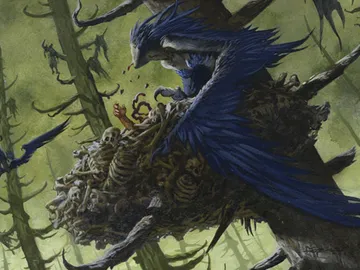 Shrike Harpy