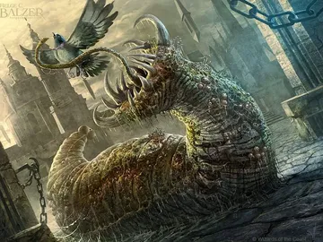 Festerleech