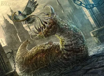 Festerleech