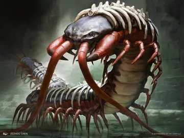 Spinal Centipede
