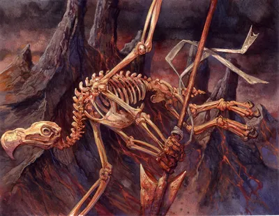 Skeletal Kathari
