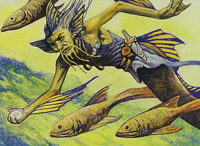 Stonybrook Angler