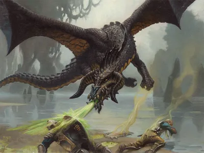 Black Dragon 1