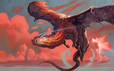 Spellbound Dragon