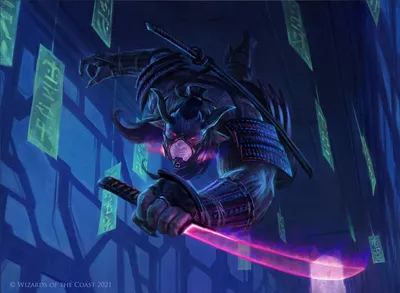 Dokuchi Shadow-Walker 1