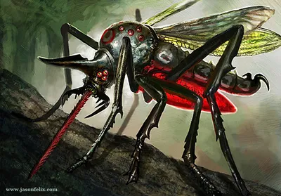 Heartstabber Mosquito