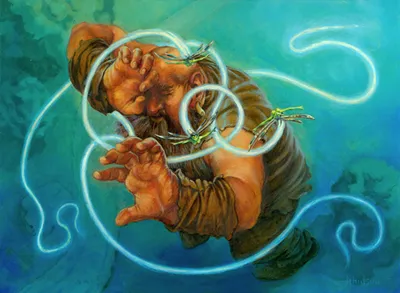Zephyr Net