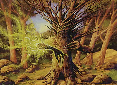 Black Poplar Shaman