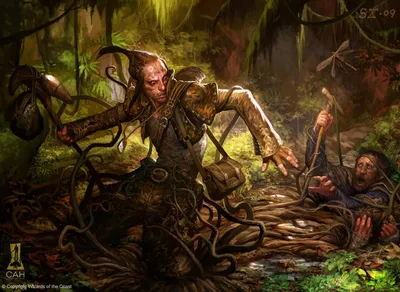Marsh Casualties