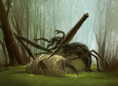 Grappler Spider