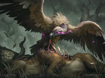 Gorging Vulture